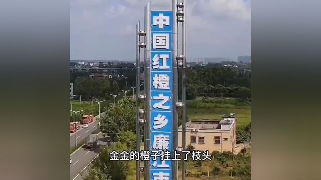 红江橙被誉为“国宴佳果”,秋天的第一个橙子.