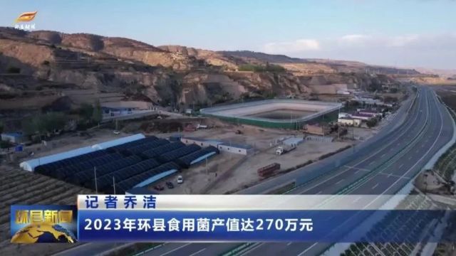 2023年环县食用菌产值达270万元