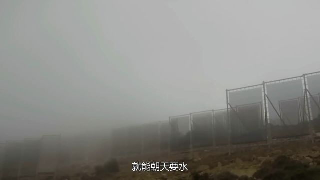 朝天要水的捕雾网,为什么山头上支面网,一天就能收集200升水?