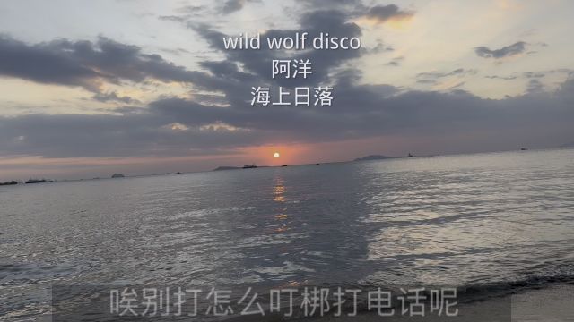 wild wolf disco #阿洋 #海上日落