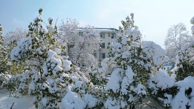 视频丨白雪覆盖下的中方 每一帧都是壁纸