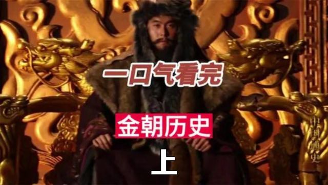 一口气看完金朝年历史,蒙古为何这么强大 #历史 #金朝 #金朝十帝 上