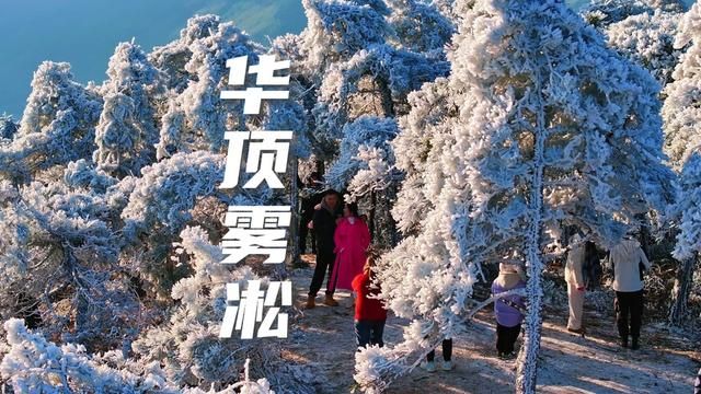 冬来有冬的意义,雪有雪的秘密.雾凇就是天空留给冬天的最美文案.#雾凇美景 #雪树银花 #银装素裹 #各地文旅都在晒初雪