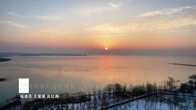 千城胜景|河北磁县:冬日溢泉湖尽显生态之美