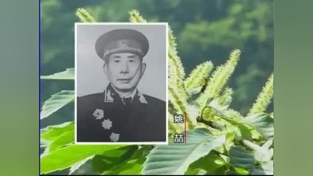 人物|纪录片《抗日英雄谱》姚喆屡建战功的抗日虎将