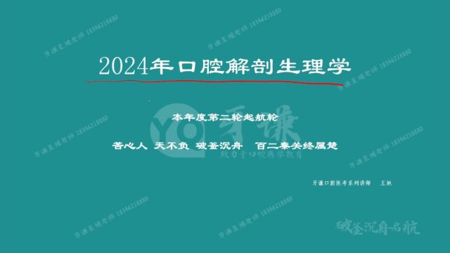 24年牙谦教育王旭老师口腔解剖生理学第一节口腔解剖生理