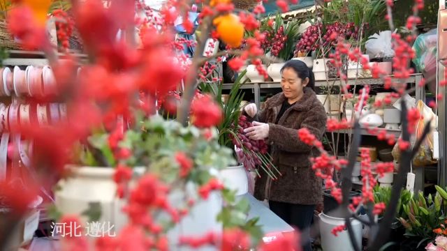 2024看地方年货|河北遵化:花卉市场备货迎新春