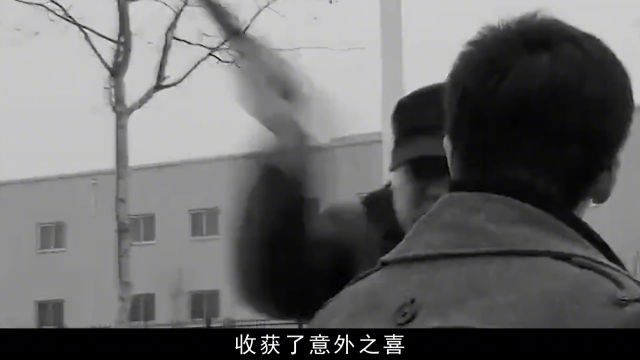 恶贯满盈为祸昆明10多年,被捕后下场如何 # 人物故事 #揭秘 #杨天勇