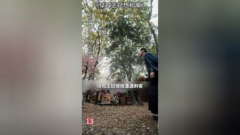 穿越王妃想和离