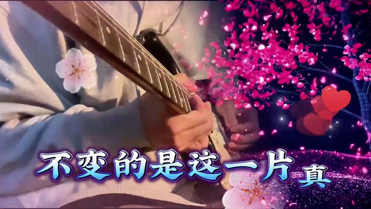 用真心痴心换心,守侯一生最美的梦,相伴每一天