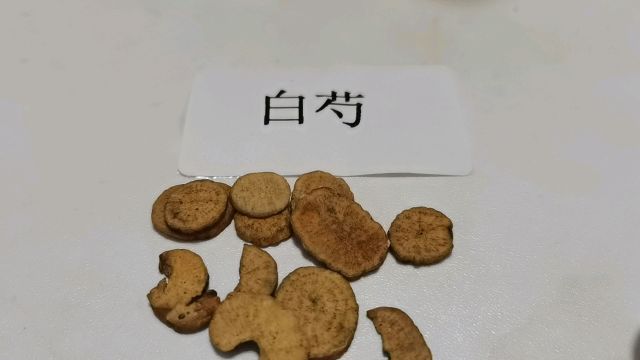 中医药传承,让我们每天都了解一味中药吧:白芍