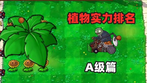 植物大战僵尸：pvz植物实力排位！a级篇，变身茄子是第一？高清1080p在线观看平台腾讯视频 