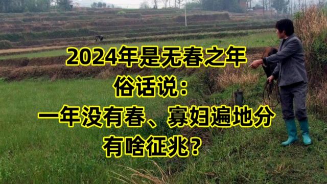 2024年是无春之年,俗语:一年没有春、寡妇遍地分,有啥征兆?