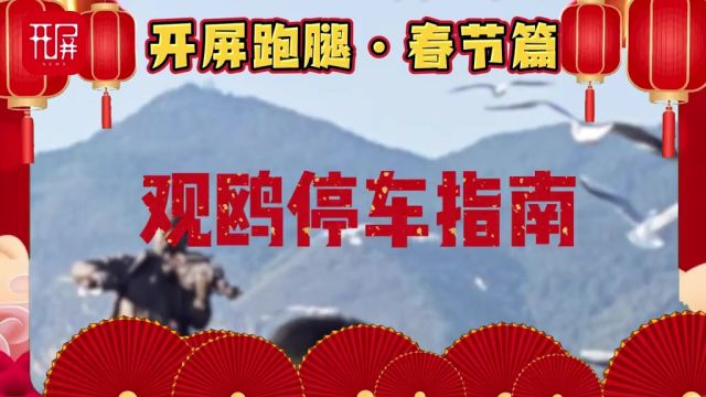 开屏跑腿ⷦ˜娊‚平安篇来昆明自驾游,会不会上演“抢车位”?春节假期,一家人自驾出行很方便,就是怕停车不方便.海埂大坝咋停车?过年回家,最怕遇...