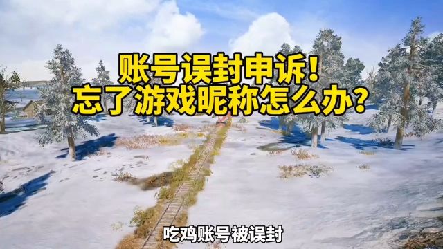 账号申诉忘了游戏昵称怎么办?#绝地求生