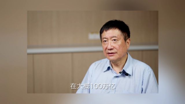 清华大学国际研究院孔英教授:中国3060目标需要百万亿,光靠补贴是做不来的 横版