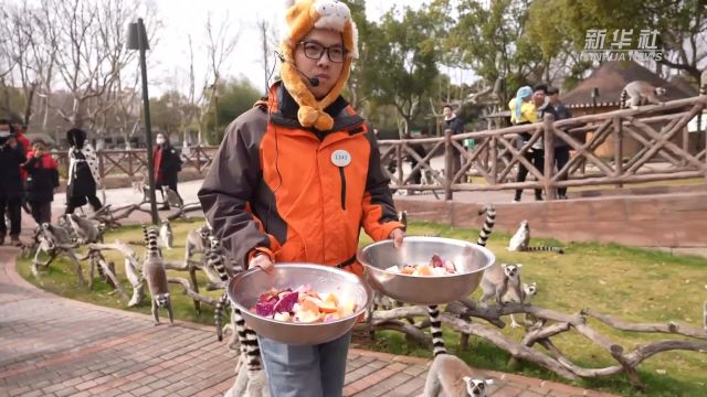 欢欢喜喜过大年 动物“狂炫”新年餐