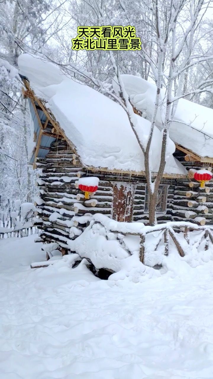 愿龙年的瑞雪兆神州丰年.#带你看雪景