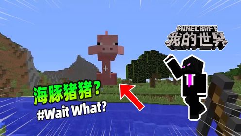 我的世界:MC中竟然存在海豚猪?老玩家表示很离谱!_高清1080P在线观看平台_腾讯视频