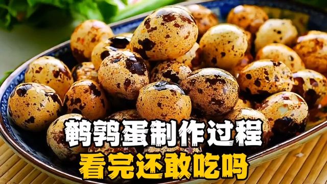 鹌鹑蛋制作过程,看完你还敢吃吗?