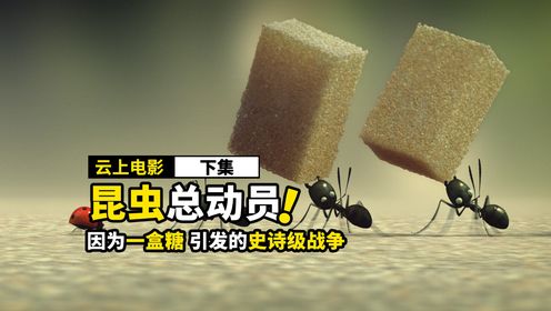 螞蟻間的戰爭,居然因為一塊糖,奇幻電影《下》