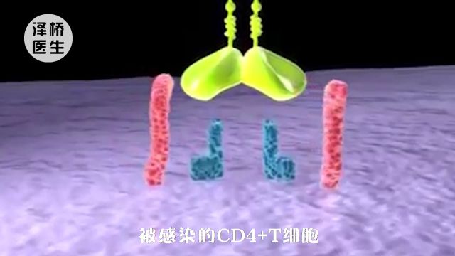 你知道吗?HIV阻断药是生命的“后悔药”!