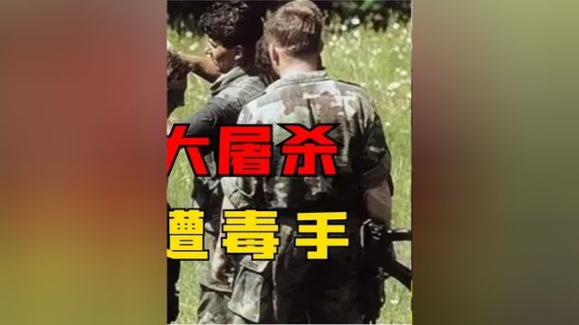 第三集,1995年斯雷布雷尼察大屠杀,塞军无视联合国,上万名民众惨遭毒手#真实影像 #维和 #塞尔维亚