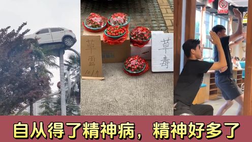 这届人类的精神状态，不太正常啊！_高清1080P在线观看平台_腾讯视频