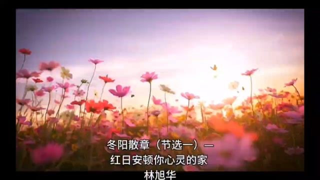 林旭华《冬阳散章》节选一