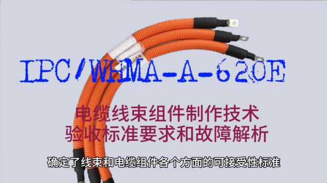 线束组件IPC/WHMAA620E标准培训