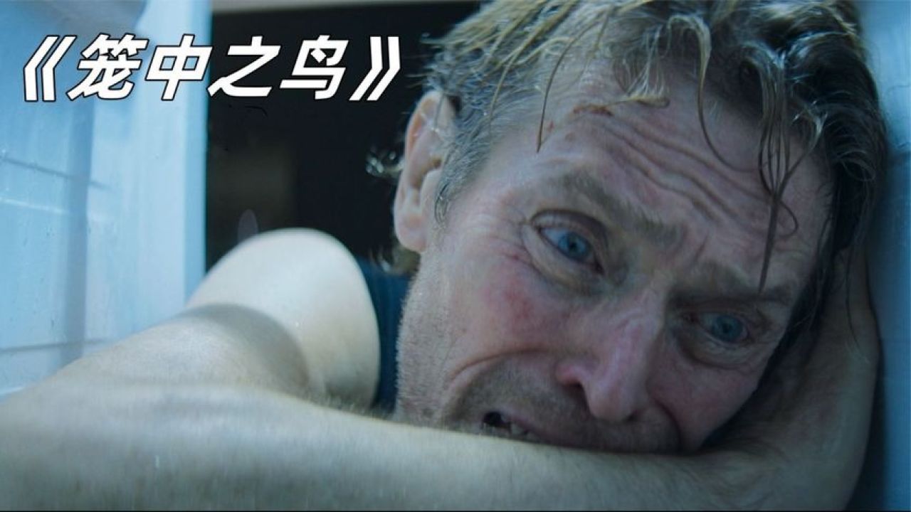 壁纸 动物 狗 狗狗 1280_720