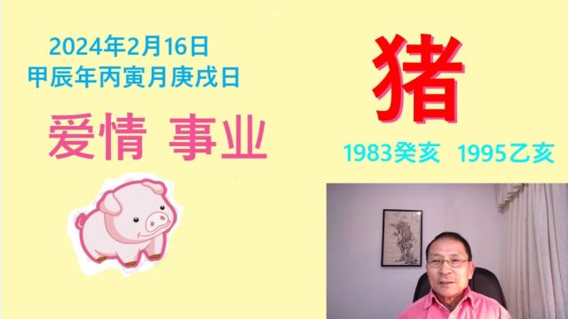 生肖猪2024年财运与事业考博三喜临门