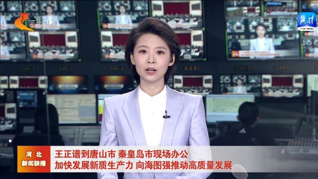 王正谱到唐山市秦皇岛市现场办公