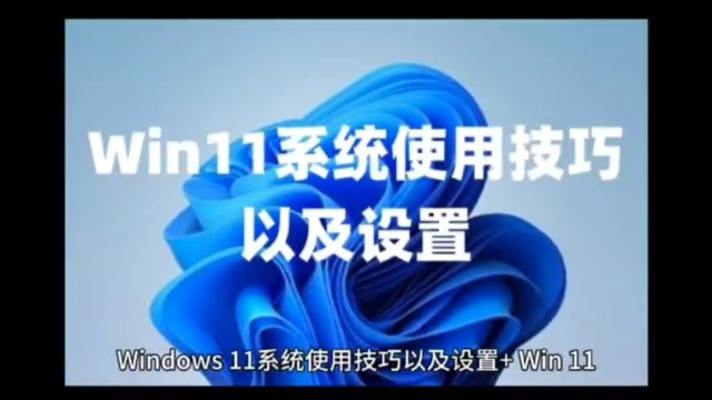 Windows11系统使用技巧以及设置+Win11+Win10+win7+win8.1系统永久激活密钥激活码