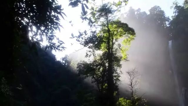 轻音乐《生命之光》一笑出门去,千里落花风