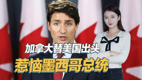 替美国出头,加拿大故意针对墨西哥人,直接激怒墨西哥总统