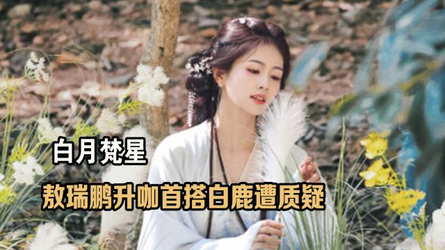 但凡不是白鹿出演女主,恐怕都压不住这些绝色女配,敖瑞鹏遭质疑