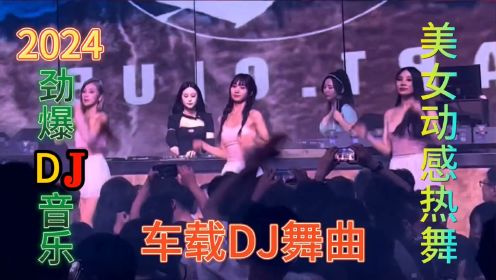 2024最火最震撼的深夜酒吧中文DJ串烧，百听不厌的神曲，嗨翻全场