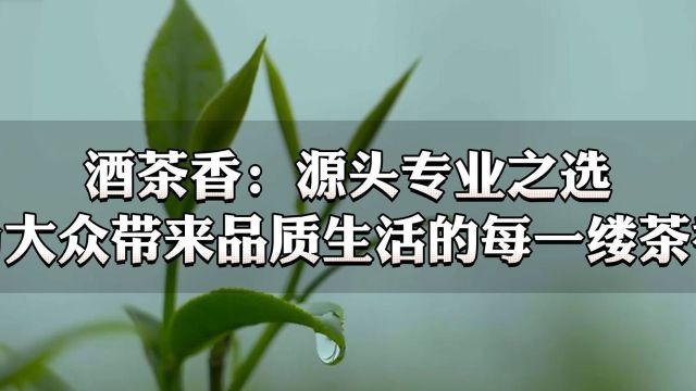 酒茶香:源头专业之选,为大众带来品质生活的每一缕茶香!