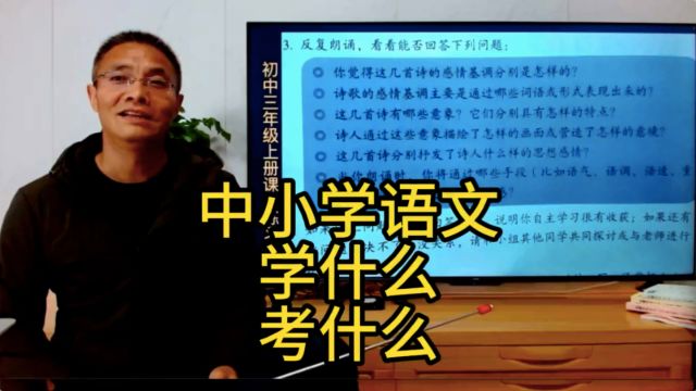 杨昇作文:中小学语文学什么考什么?