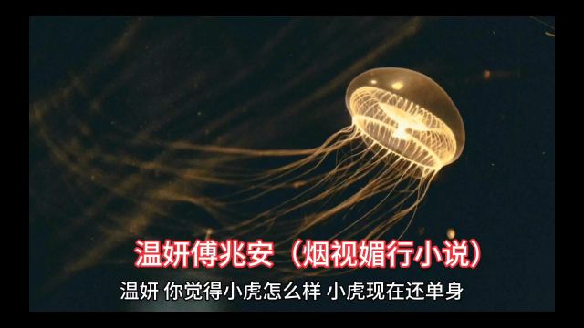 完结:爆款《烟视媚行》温妍傅兆安(烟视媚行小说)