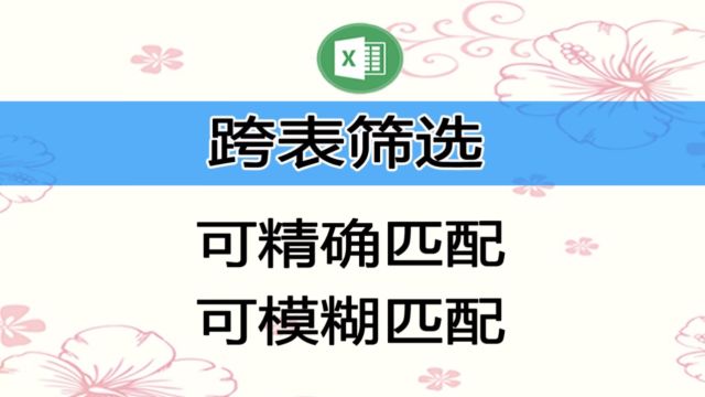 表格进阶功能演示:跨表筛选、跨文件筛选,Excel和WPS通用技能