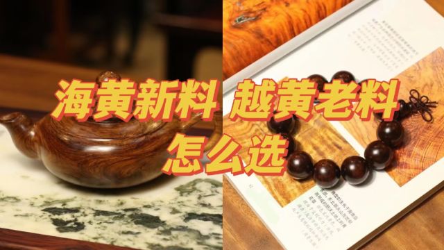 海黄新料和越黄老料该如何选择?不同器型不同选择!