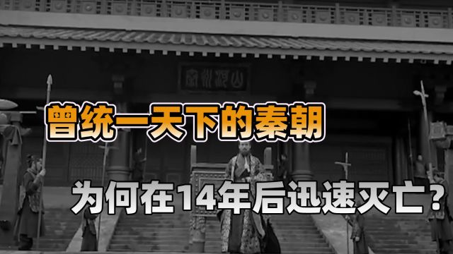 曾统一天下的秦朝,为何在14年后迅速灭亡?真实原因到底是什么?