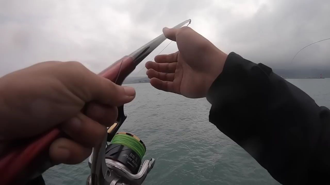 海钓矶钓,阿波沉式钓法,黑鲷鱼,黄鳍鲷,竿竿上鱼,拉到爽