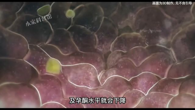 你知道母乳的乳汁是如何产生的吗