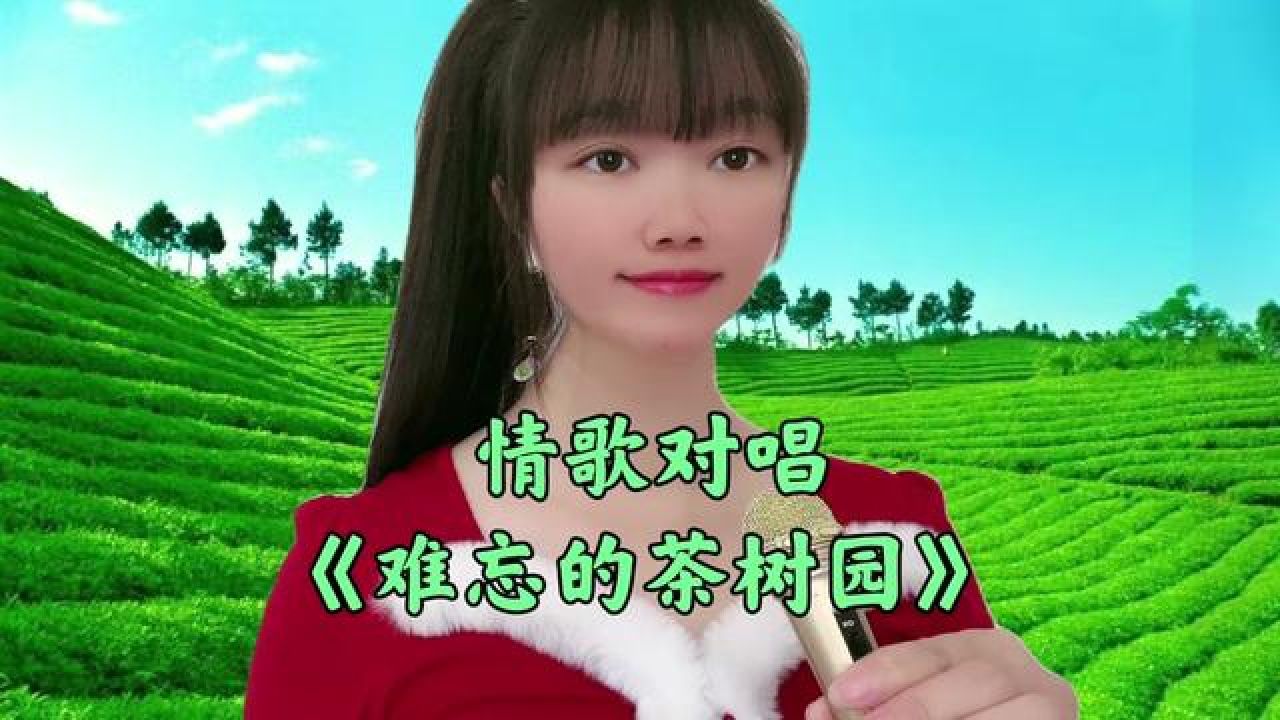 新歌!一首情歌对唱《难忘的茶树园》歌声悠扬悦耳柔情蜜意真好听