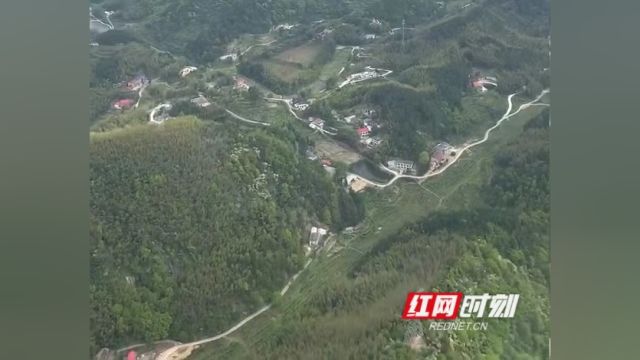 视频 | 长沙森林覆盖率55%:手植春光 树美星城