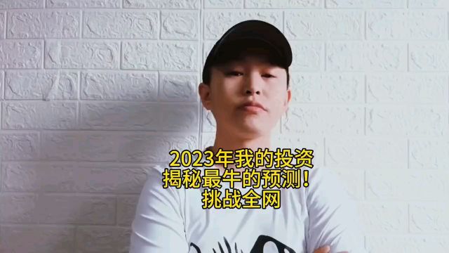 2023年我的投资,揭秘最牛的预测!挑战全网