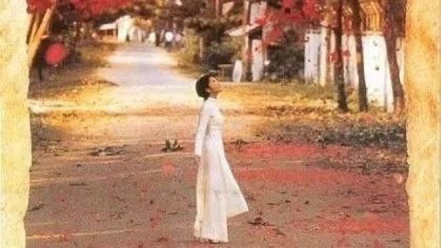 【越南电影】《恋恋三季》(1999)